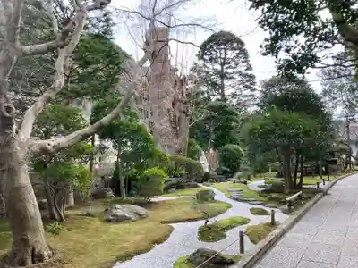 報国寺(神奈川県)