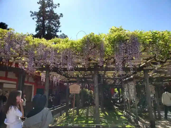 春日大社の庭園