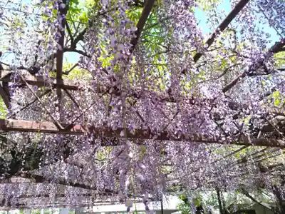 徳王稲荷社・金刀比羅社(愛知県)