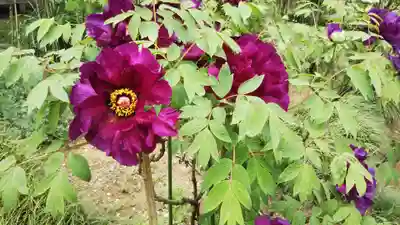 金乘院(千葉県)