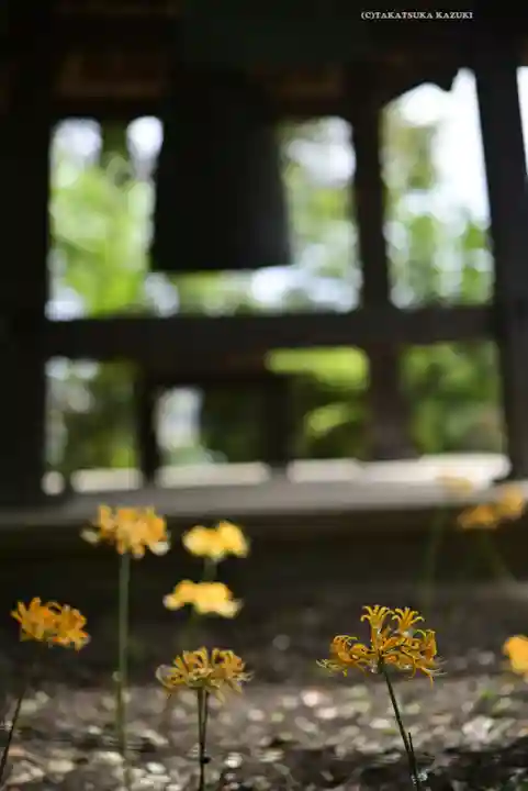 横浜 西方寺(神奈川県)
