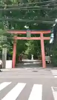 赤城神社の鳥居