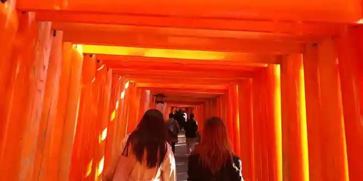 伏見稲荷大社の鳥居