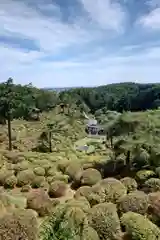 糀谷八幡宮(埼玉県)