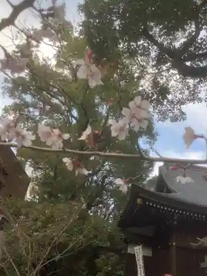 若宮八幡社(愛知県)