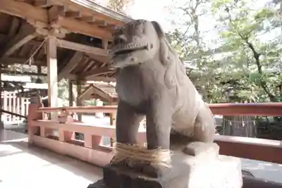 越ヶ谷久伊豆神社(埼玉県)