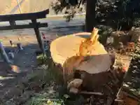 大宮温泉神社(栃木県)
