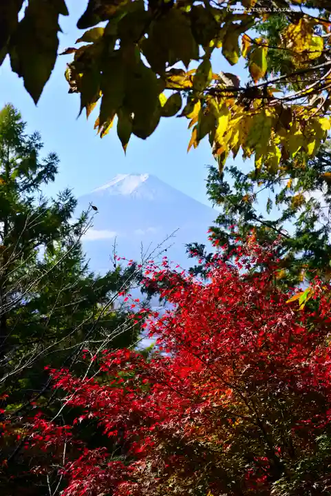 新倉富士浅間神社(山梨県)