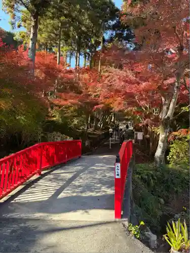 普門寺(切り絵御朱印発祥の寺)(愛知県)