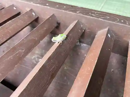 菱野健功神社の動物