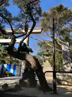 意富比神社(千葉県)