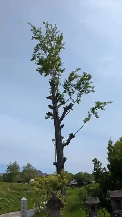 大神比義命の祠の自然