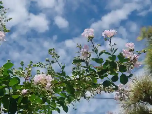 日輪寺(東京都)