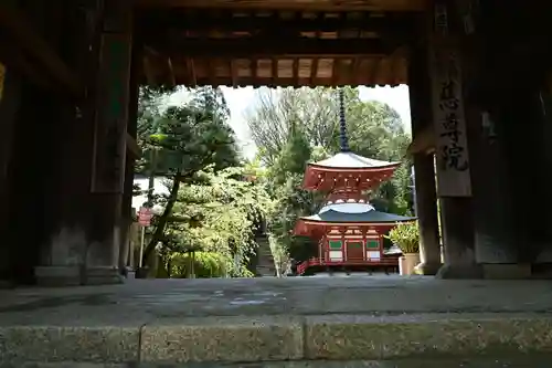 慈尊院(和歌山県)