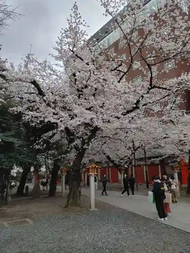 花園神社の自然