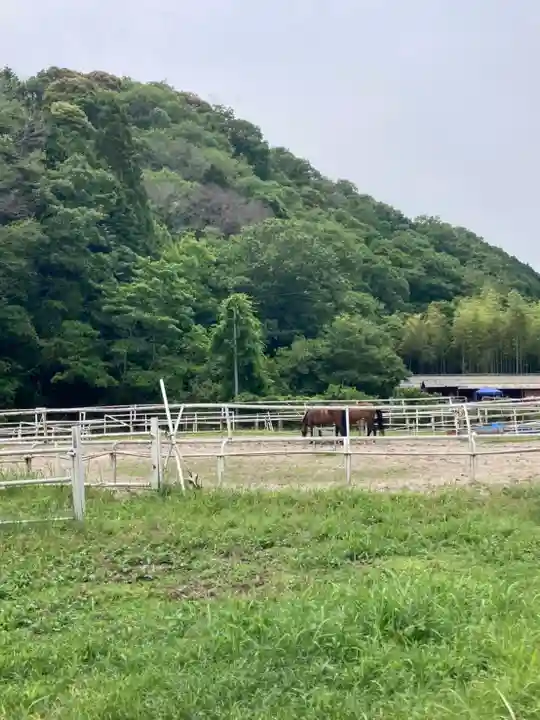 若都王子神社(兵庫県)
