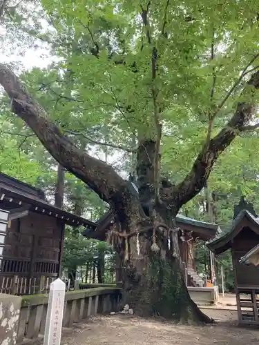 穂高神社本宮(長野県)