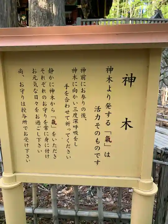 三峯神社(埼玉県)
