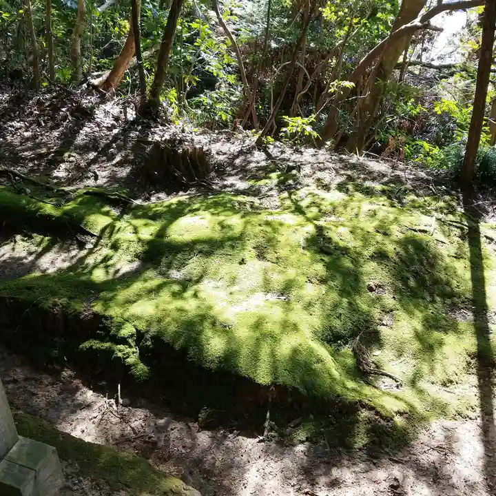 八幡神社の自然