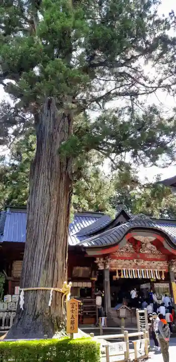 北口本宮冨士浅間神社の自然