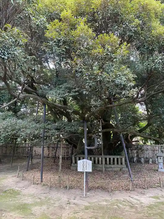 大樹寺(松安院大樹寺)(愛知県)
