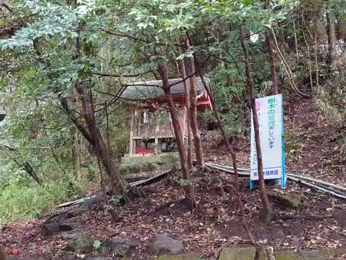 柞原八幡宮(大分県)