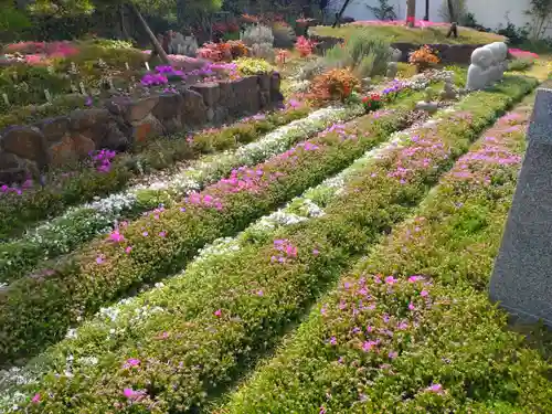 寿量山　速成寺(奈良県)