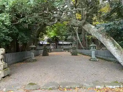 竹野神社(京都府)