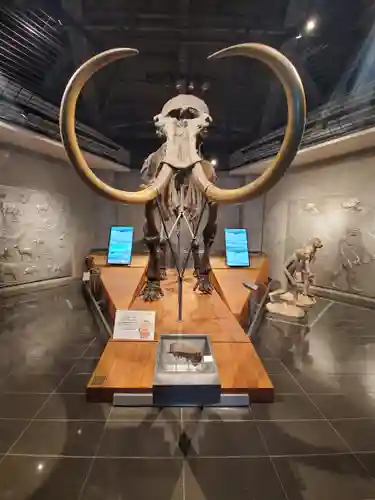 正一位稲荷神社(群馬県)