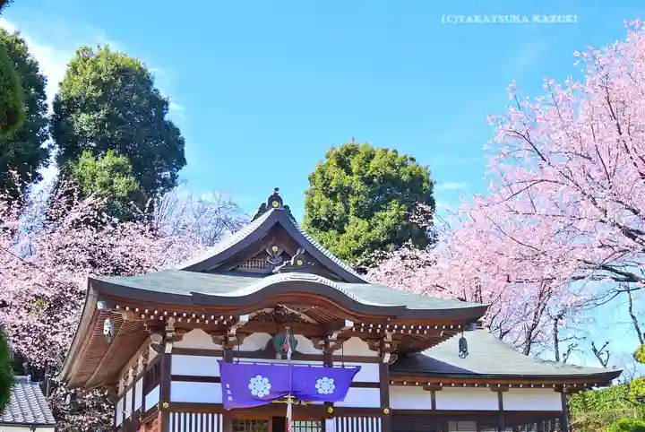 密藏院(埼玉県)