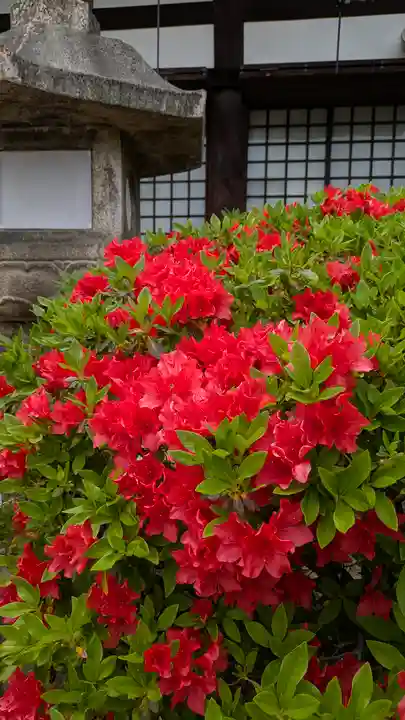 誉田八幡宮(大阪府)