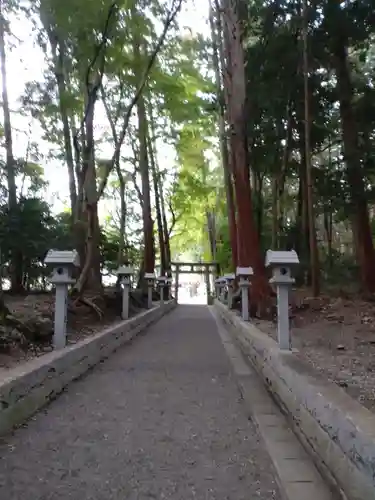 田村神社の建物その他