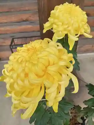 法華寺(奈良県)