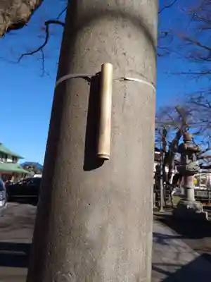 豊受神社(千葉県)