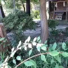 富部神社の動物