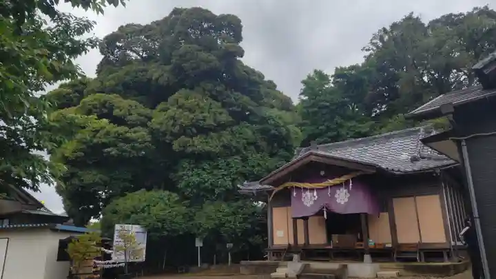九重神社(埼玉県)