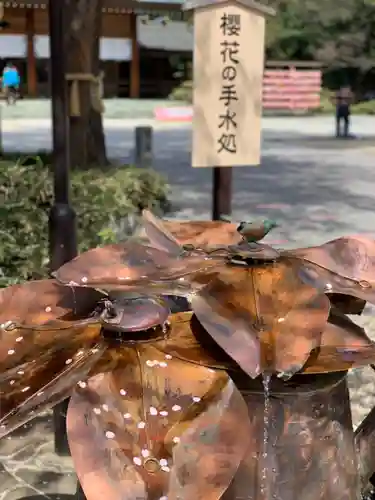 櫻木神社の手水舎