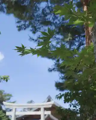 富山縣護國神社(富山県)