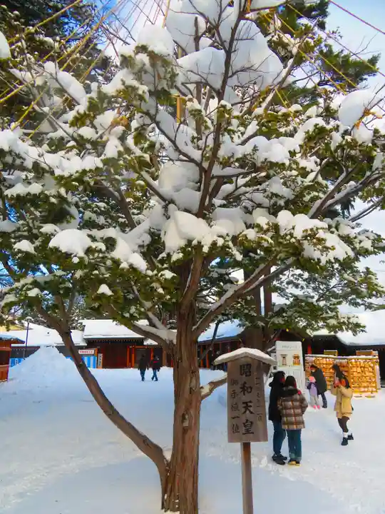 北海道神宮(北海道)