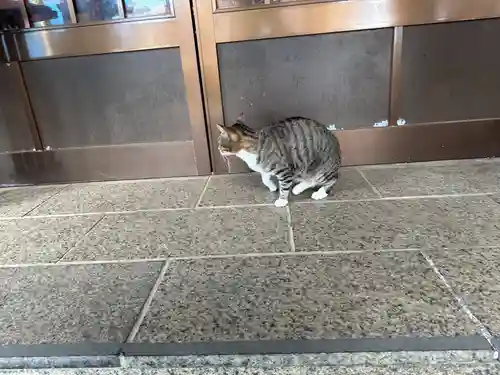 王子神社(徳島県)