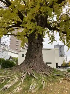 津島神社(愛知県)