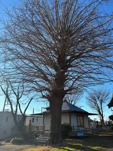 本行寺(千葉県)
