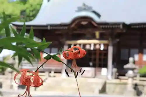 豊景神社の景色