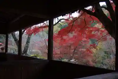 白龍神社(京都府)