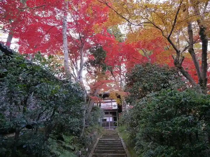 光明寺(粟生光明寺)のその他建物