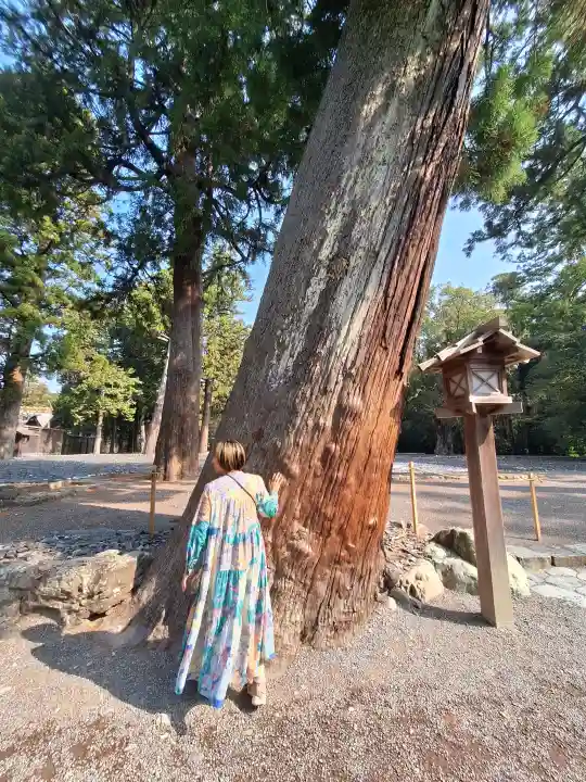 伊勢神宮外宮(豊受大神宮)の{uncategorized: "未分類", other: "その他", undefined: "問題あり", building: "その他建物", grave: "お墓", sacred_gate: "鳥居", guardian: "狛犬", statue: "像", buddha: "仏像", history: "歴史", nature: "自然", garden: "庭園", animal: "動物", pagoda: "塔", temizu: "手水舎", mountain_gate: "山門・神門", sanctuary: "本殿・本堂", subordinate: "末社・摂社", art: "芸術", scenery: "景色", jizo: "地蔵", ema: "絵馬", goshuin: "御朱印", omikuji: "おみくじ", items: "授与品その他", amulet: "お守り", goshuincho: "御朱印帳", eats: "食事", festival: "お祭り", votive_dance: "神楽", shichigosan: "七五三参", wedding: "結婚式", experience: "体験その他", initially: "初詣", around: "周辺", anti_infection: "感染症対策"}