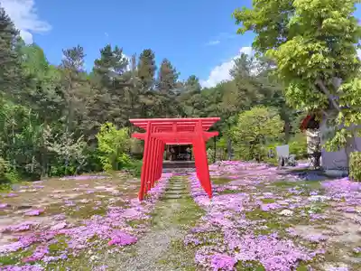 中富良野神社(北海道)