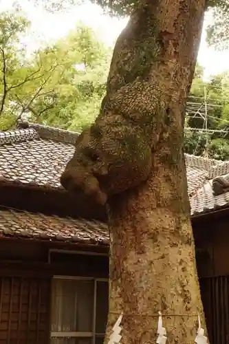 氷川女體神社の建物その他