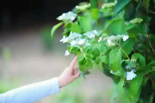 浄土寺(兵庫県)