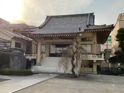 善徳寺の本殿・本堂